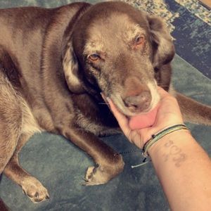 Meet your Posher, Haley